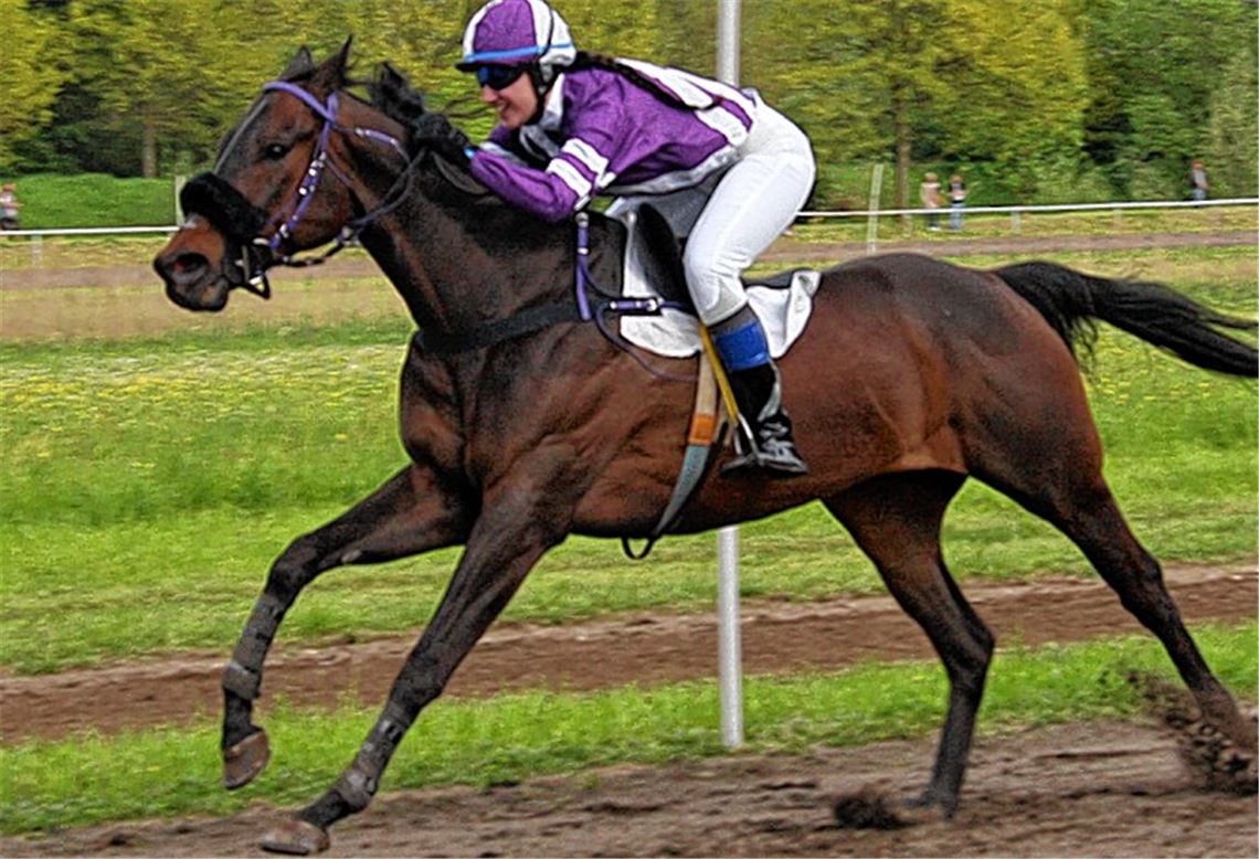 Royal Salsa galoppiert dem Feld auf und davon. Foto: privat