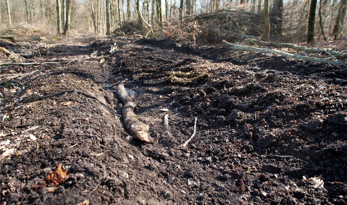 Massive Kritik lässt Förster nicht kalt Rückegassen wie diese sind während des Wintereinschlags schwierig zu vermeiden, weil es immer weniger Frosttage mit entsprechend festem Untergrund gibt. Der Forstamtschef des Enzkreises, Andreas Roth, betont, dass man bemüht sei, die Böden so gut es gehe zu schonen. Auch im Kreis nutze man immer wieder Pferde, um Holzstämme aus dem Wald zu ziehen. Foto: Fotomoment