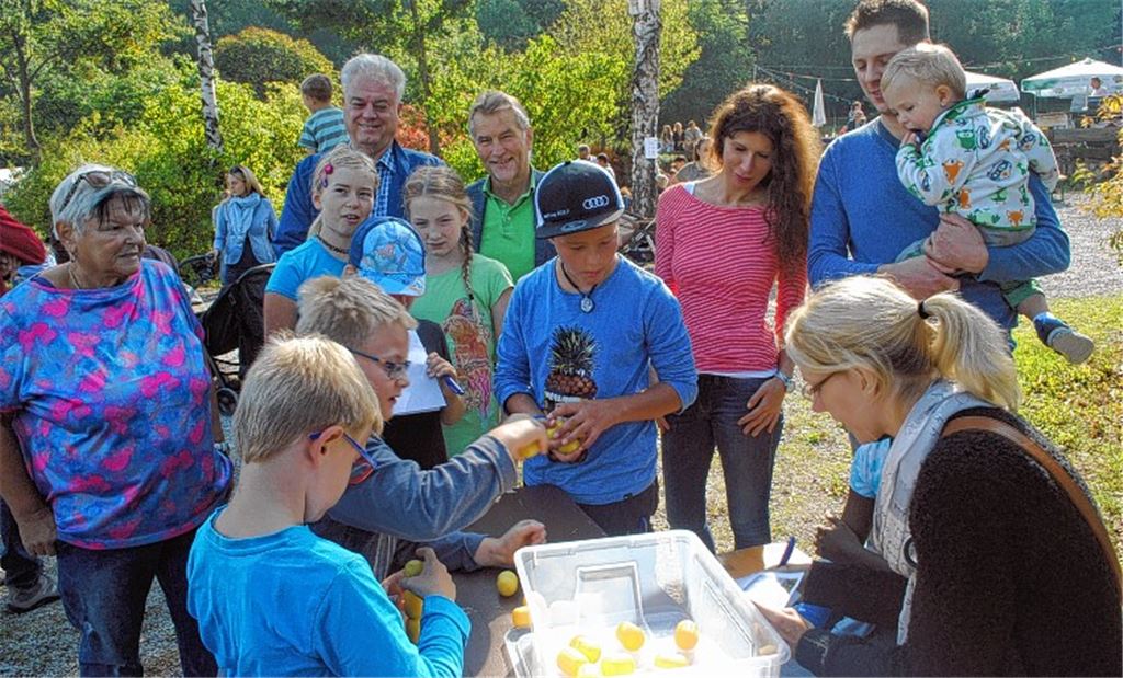 Bedarf an Pflegefamilien steigt