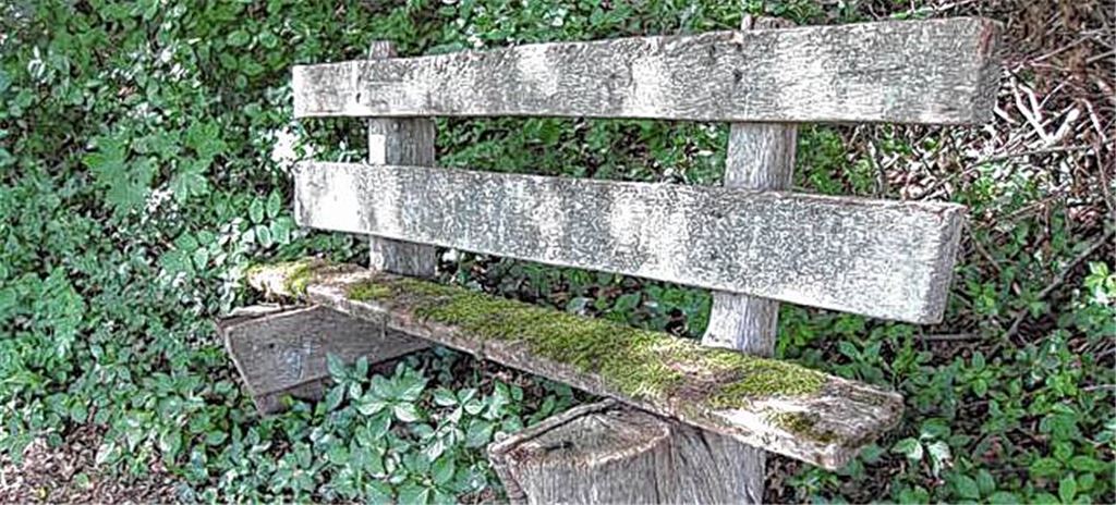 „Ruhebank“ an den Klosterseen –zum Sitzen nicht mehr geeignet. Foto: privat