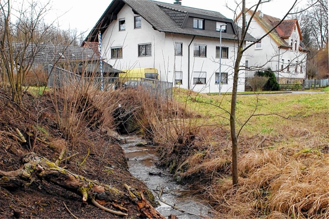 Ruhig fließt das Bächlein aus dem Böllstrichgraben in Richtung Hindenburgstraße und verschwindet beim „Bahnhöfle“ in den Einlauf der Verdolung. Beim Hochwasser 2013 überflutete das Gewässer jedoch die Straße und setzte Keller unter Wasser. Foto: Martin Schott