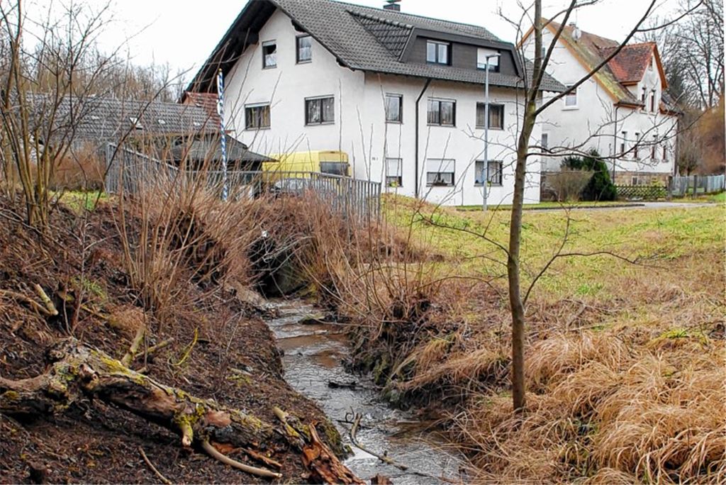 Ruhig fließt das Bächlein aus dem Böllstrichgraben in Richtung Hindenburgstraße und verschwindet beim „Bahnhöfle“ in den Einlauf der Verdolung. Beim Hochwasser 2013 überflutete das Gewässer jedoch die Straße und setzte Keller unter Wasser. Foto: Martin Schott