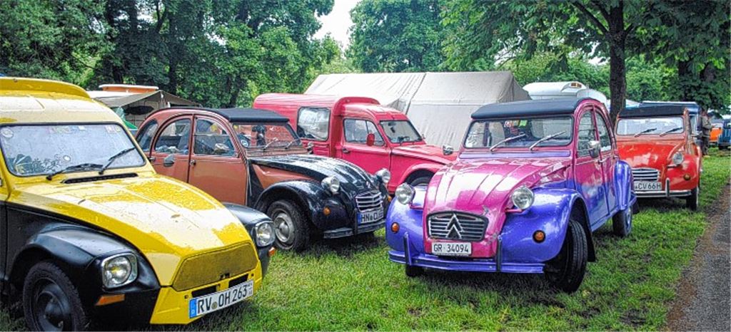 Enten kommen fast ins Schwimmen