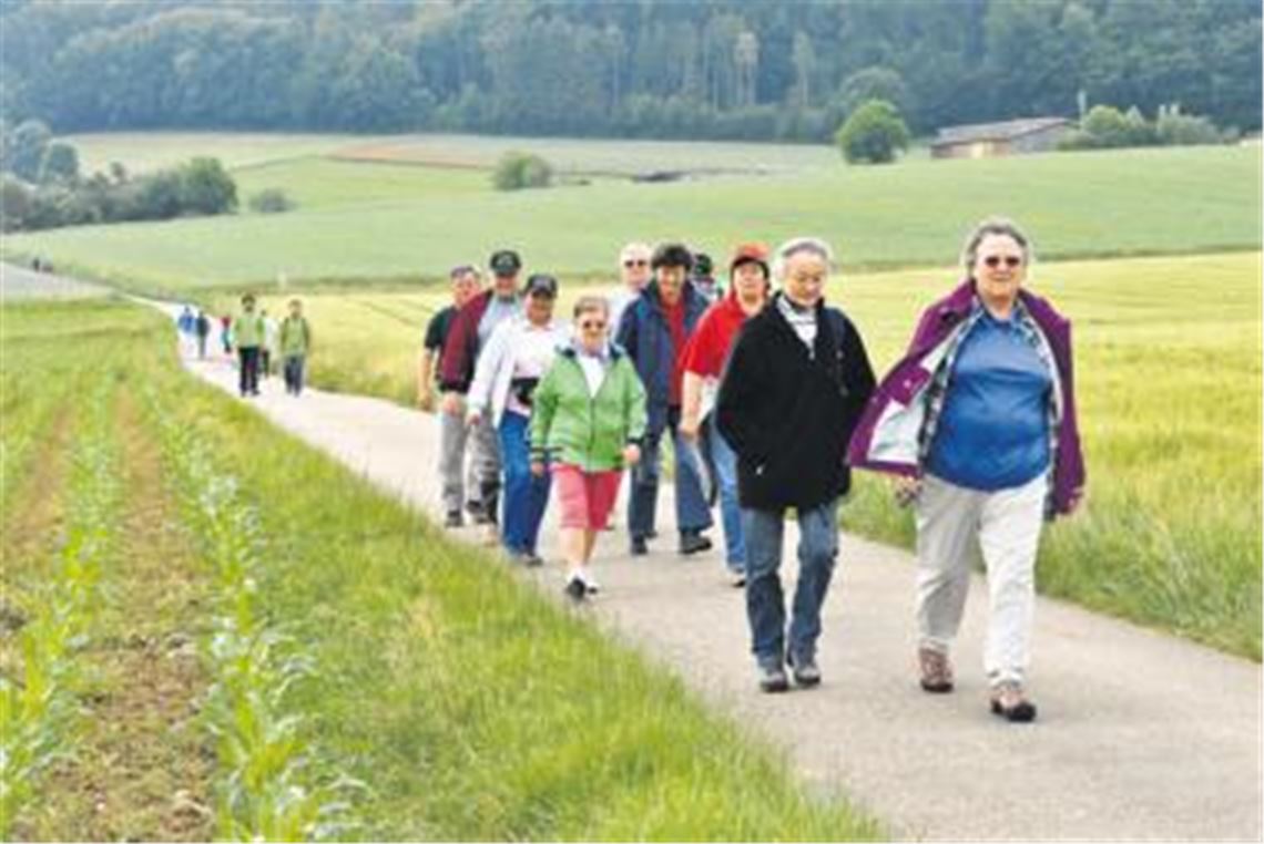 Rund 1100 Wanderer waren an beiden Tagen rund um Mühlacker unterwegs. Foto: Stahlfeld