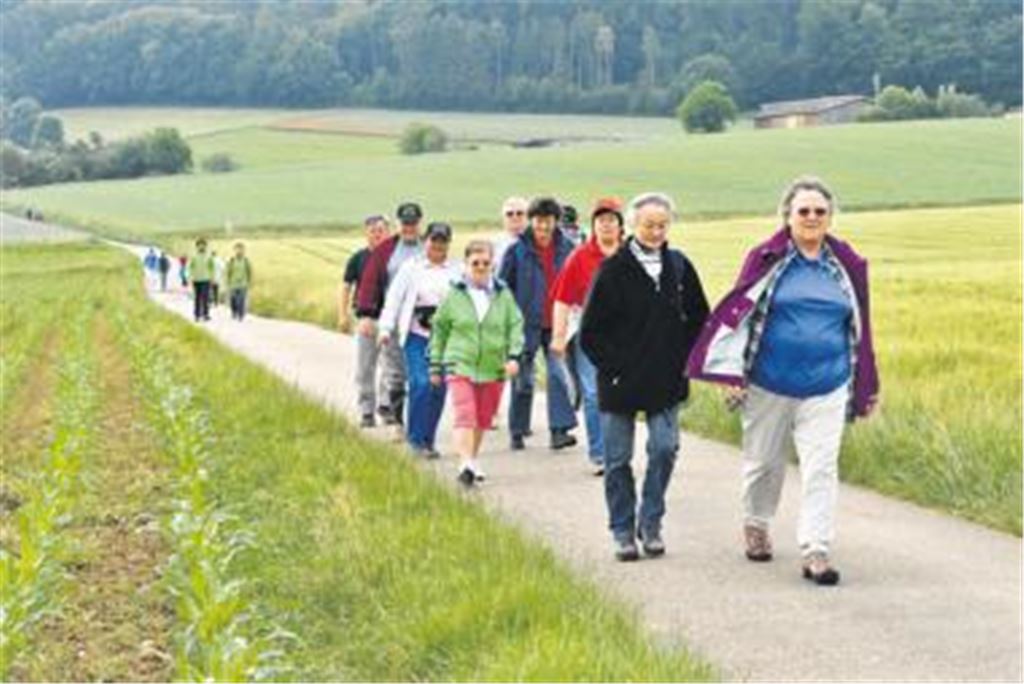 Rund 1100 Wanderer waren an beiden Tagen rund um Mühlacker unterwegs. Foto: Stahlfeld