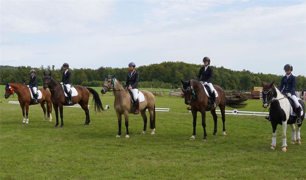 Rund 120 Reiterinnen und Reiter nehmen an den Maulbronner Reitertagen teil. Früher war das Turnier deutlich größer, die Veranstalter aber sind zufrieden. Fotos: Bastian