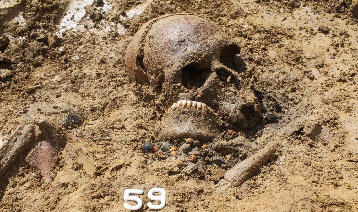 Rund 1400 Jahre alter Schädel einer Frau während der Freilegung ihres Grabes im heutigen Ergoldsbach. Aus einem winzigen Knochenstück des Schädels haben Paläogenetiker der JGU das komplette Erbgut der Verstorbenen rekonstruiert.