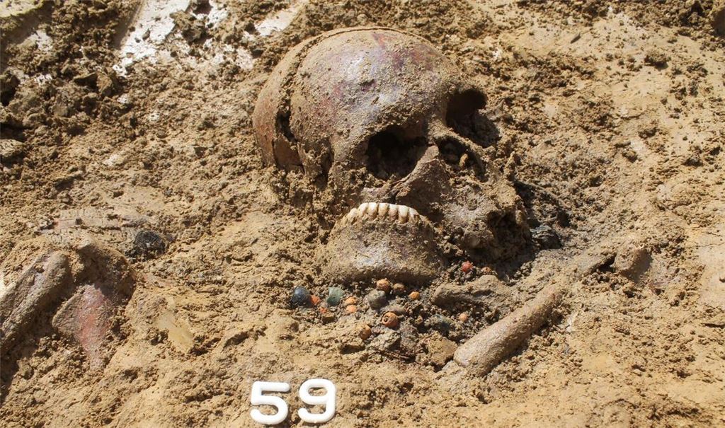 Rund 1400 Jahre alter Schädel einer Frau während der Freilegung ihres Grabes im heutigen Ergoldsbach. Aus einem winzigen Knochenstück des Schädels haben Paläogenetiker der JGU das komplette Erbgut der Verstorbenen rekonstruiert.
