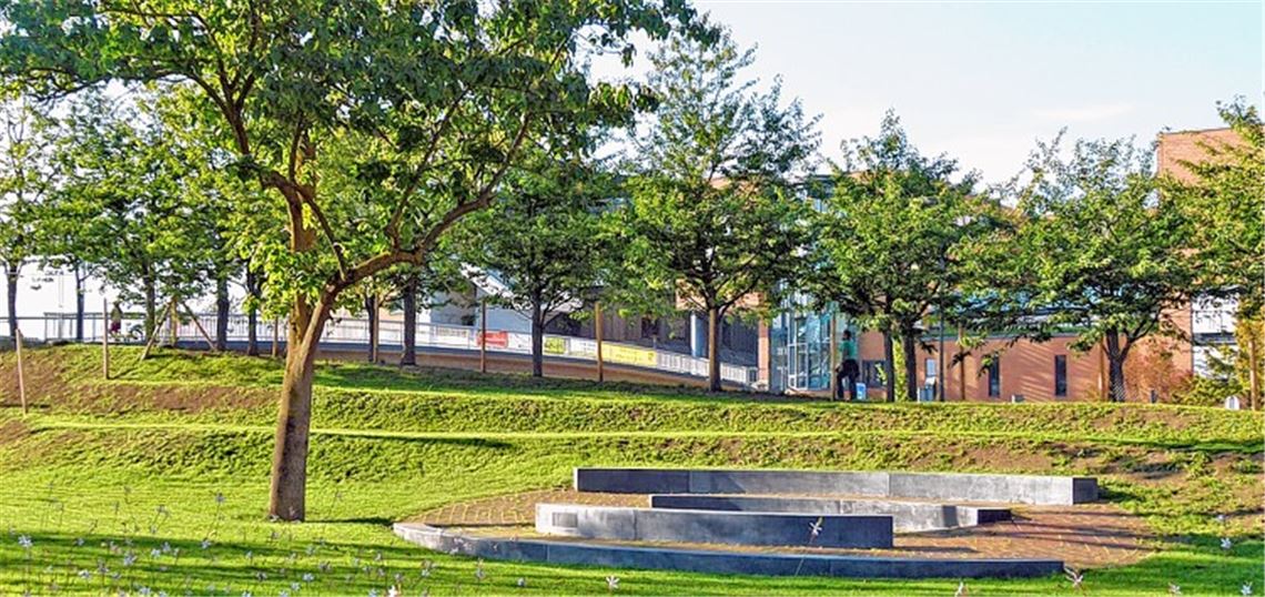 Rund 70 Sitzplätze bietet das Grüne Bürgerforum, das auch nach der Gartenschau als Treffpunkt dienen soll.