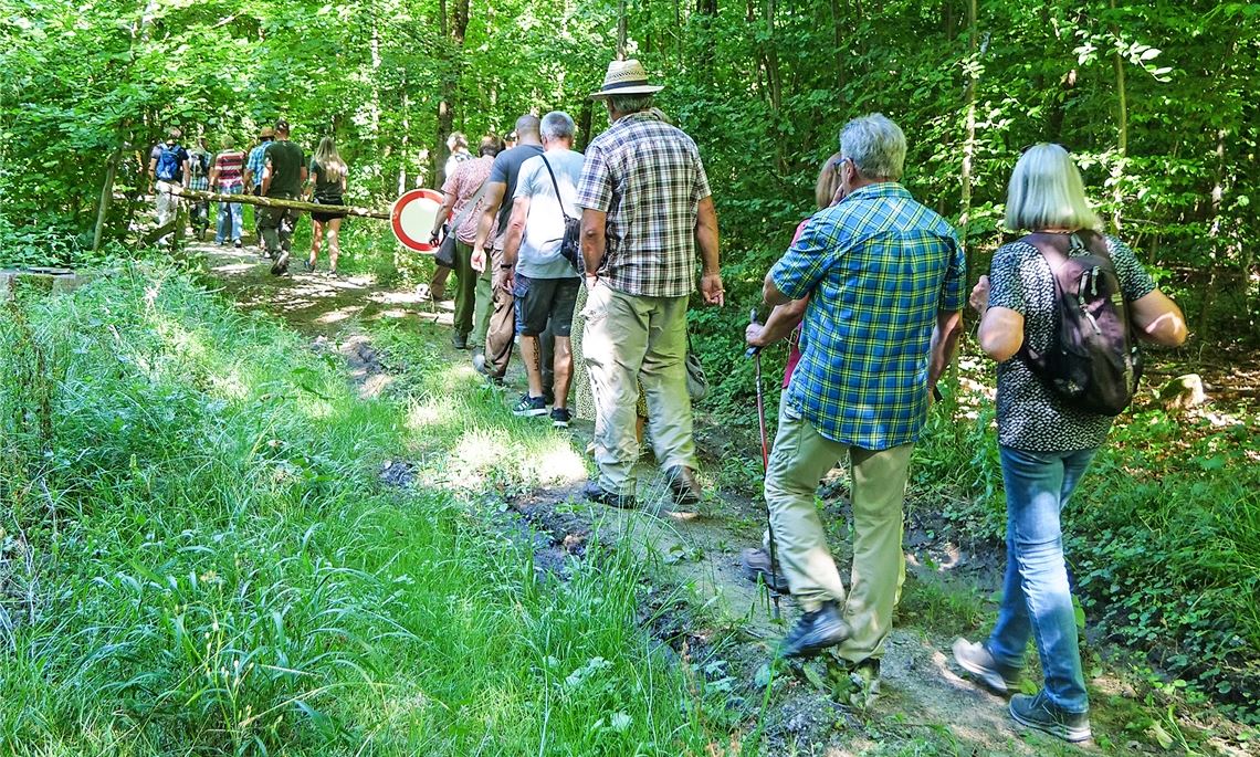Rund drei Stunden lang geht es durch den Schillingswald, um mehr über klimatolerante Baumarten oder die Herausforderungen des Klimawandels zu erfahren. Fotos: Friedrich
