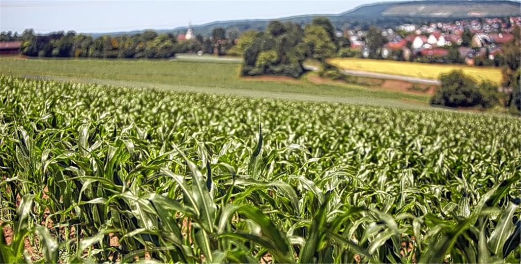 Bauern sind für Bürgerentscheid