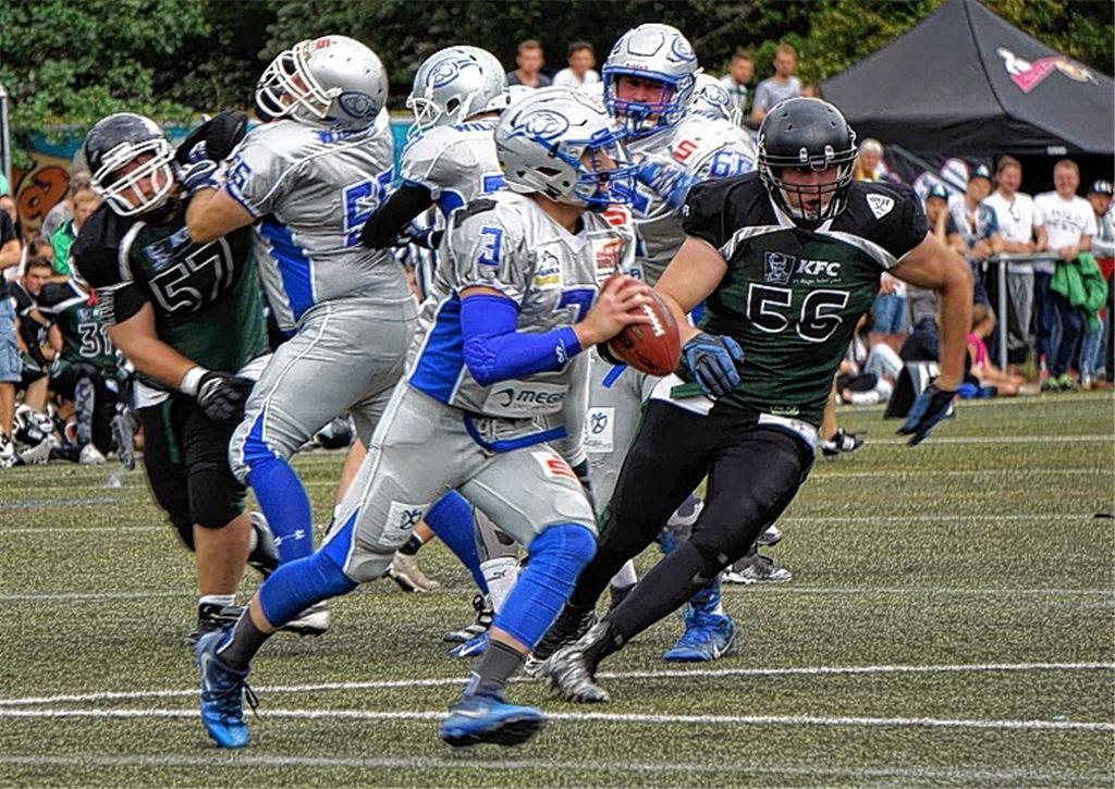 Wilddogs dürfen noch nicht jubeln