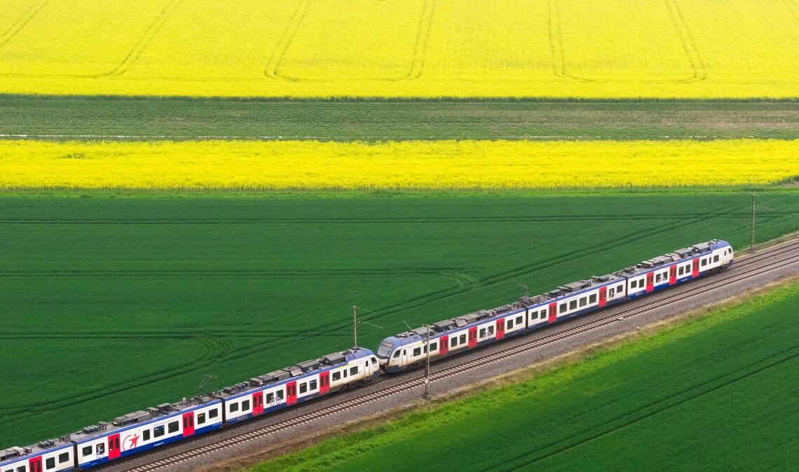 S-Bahn fährt durch blühende Landschaft in NIdersachsen