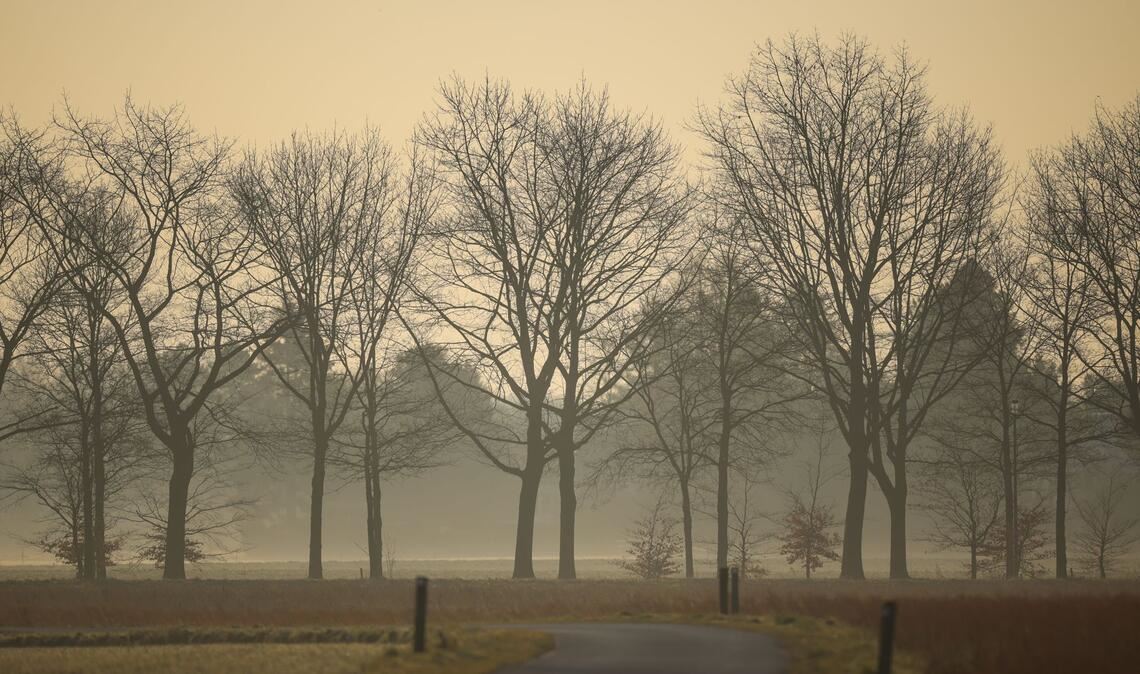 Saharastaub am Morgenhimmel.