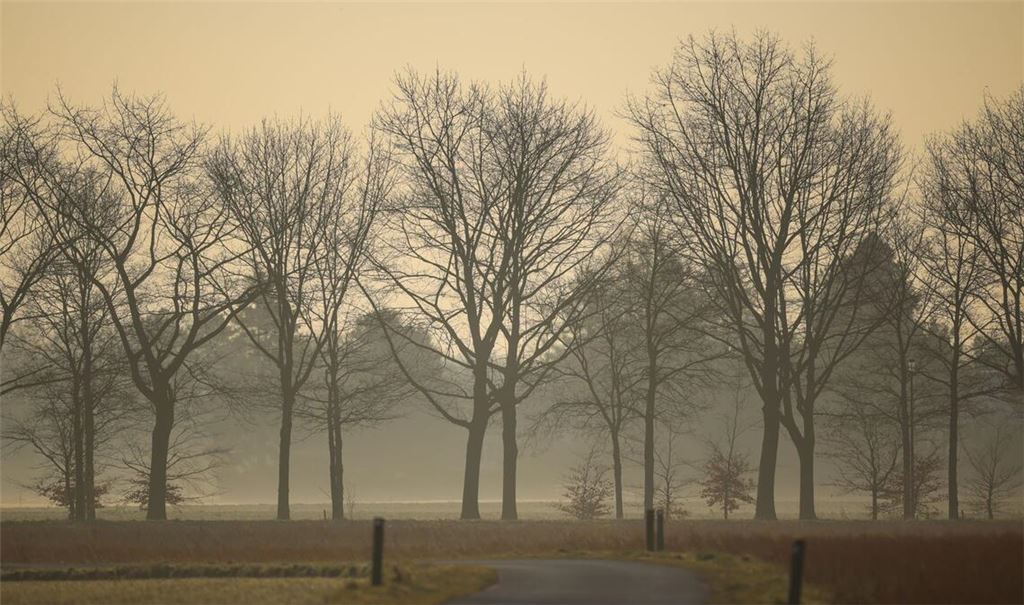 Saharastaub am Morgenhimmel.