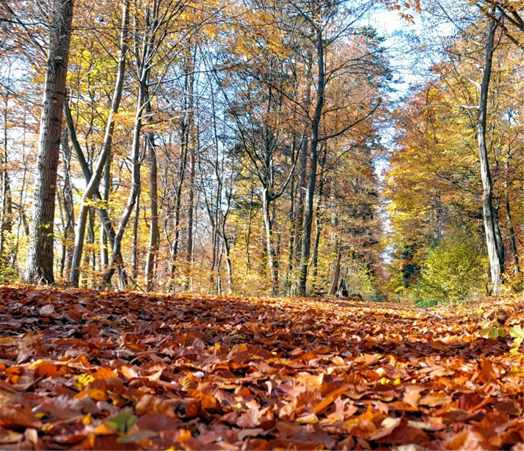 Herbstfarben