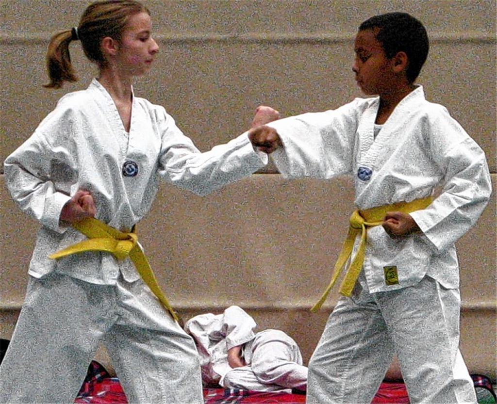 Saubere Kampftechniken sind bei der Gürtelprüfung vorzuführen. Foto: privat