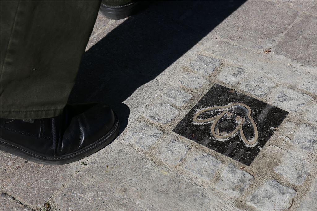 910_0008_131347_md_Schafskopf_Pflastersteine