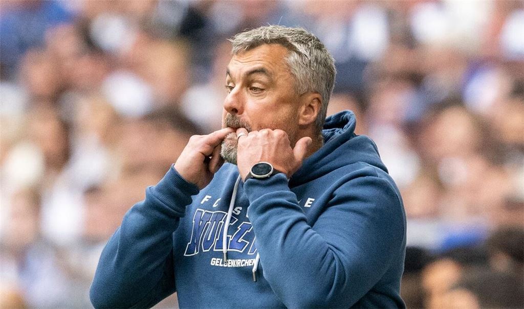 Schalke-Trainer Thomas Reis will mit seinem Team den Abstieg aus der Bundesliga verhindern.