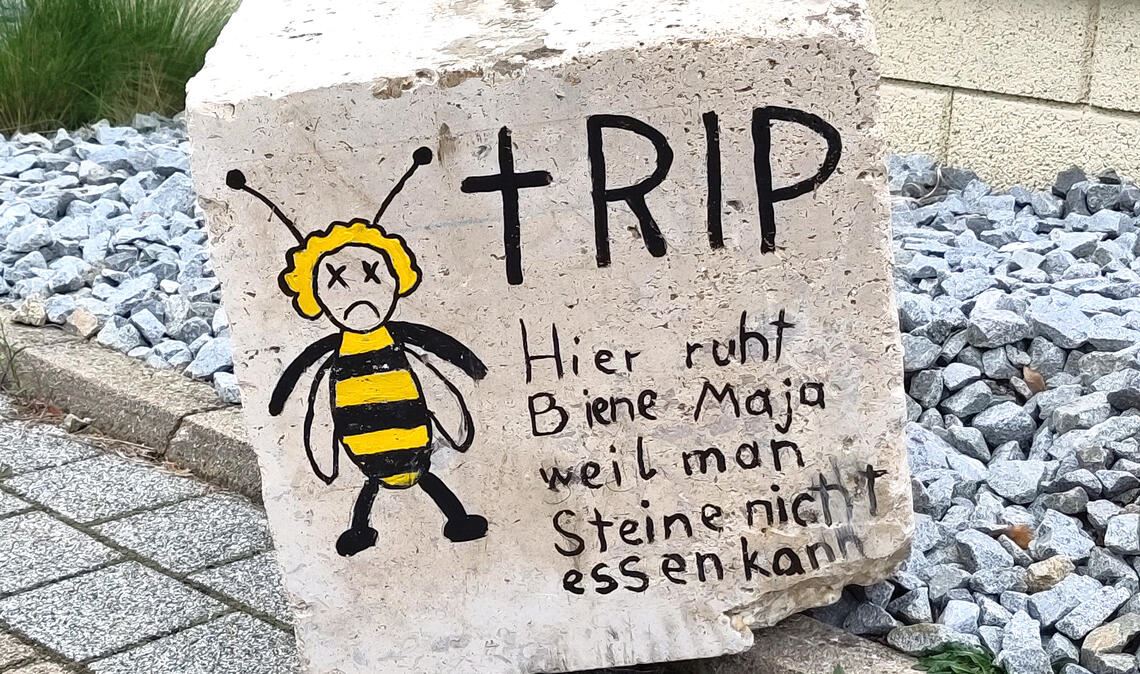 Scherz zum Thema Steingärten. Foto: privat