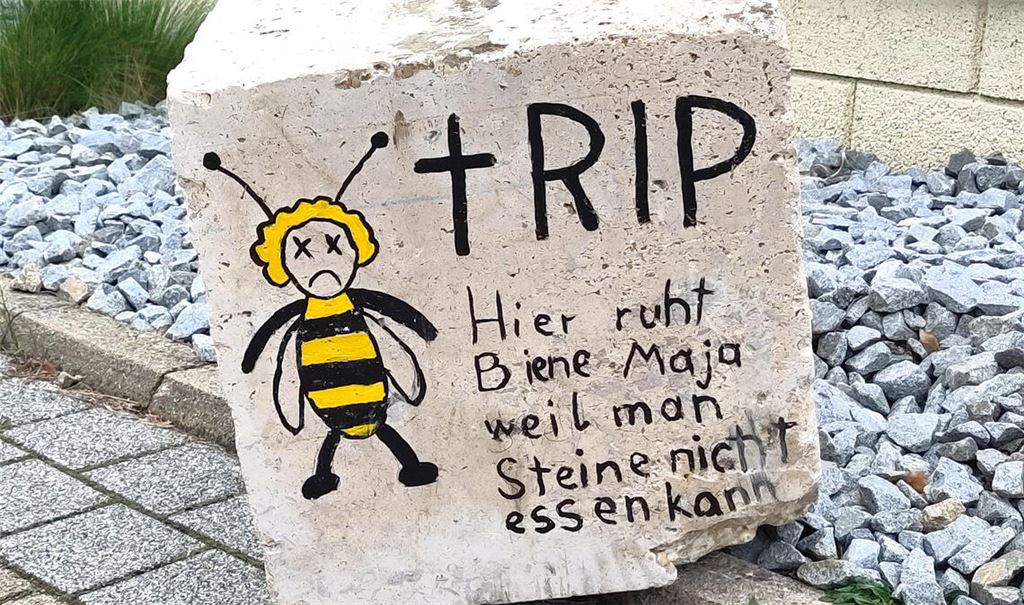 Scherz zum Thema Steingärten. Foto: privat