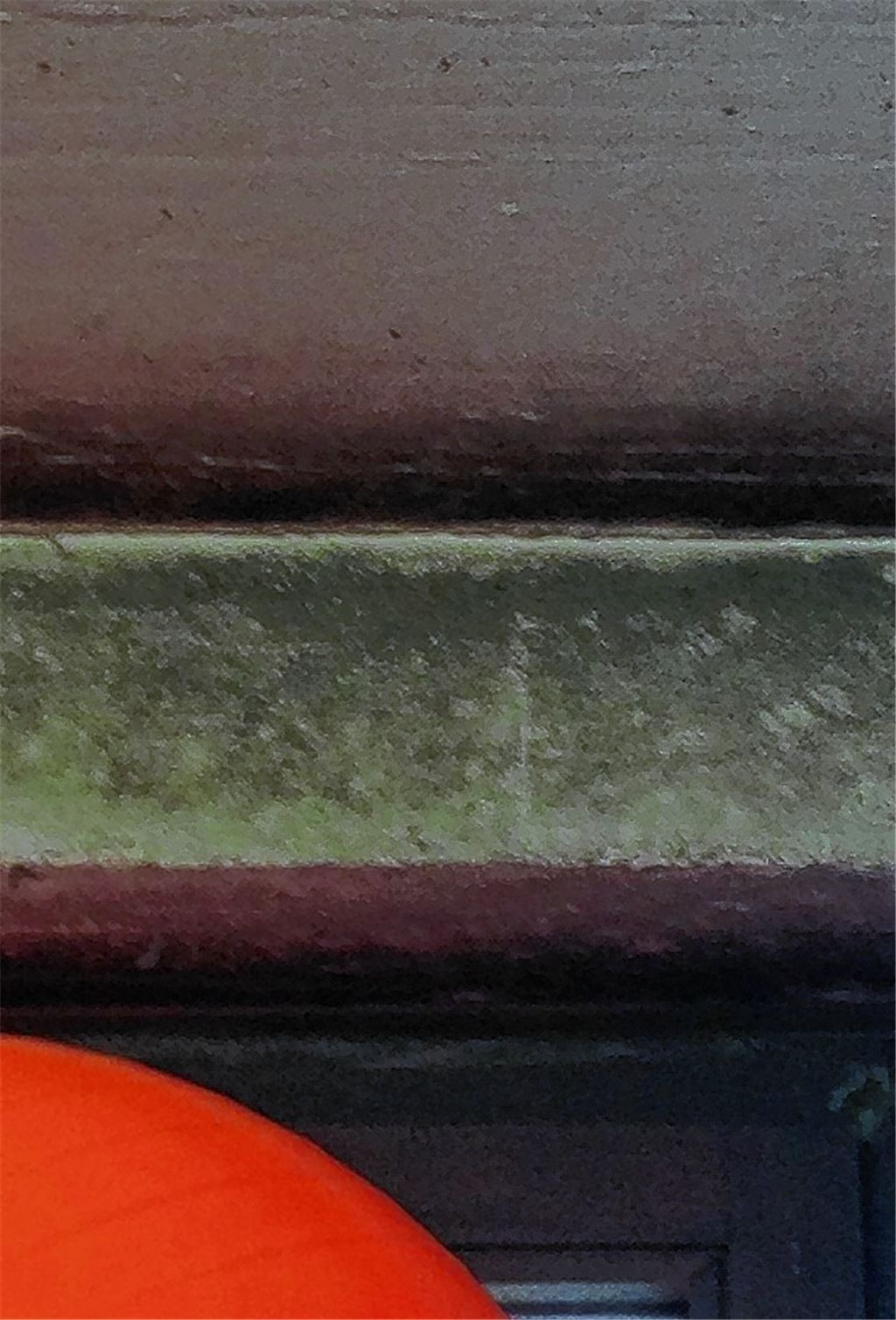 Schimmel in der Turnhalle.