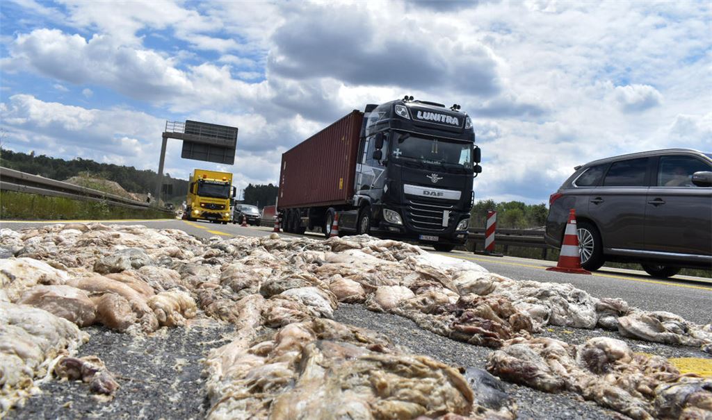 Schlachtabfall auf der A8. Foto: Myroshnichenko