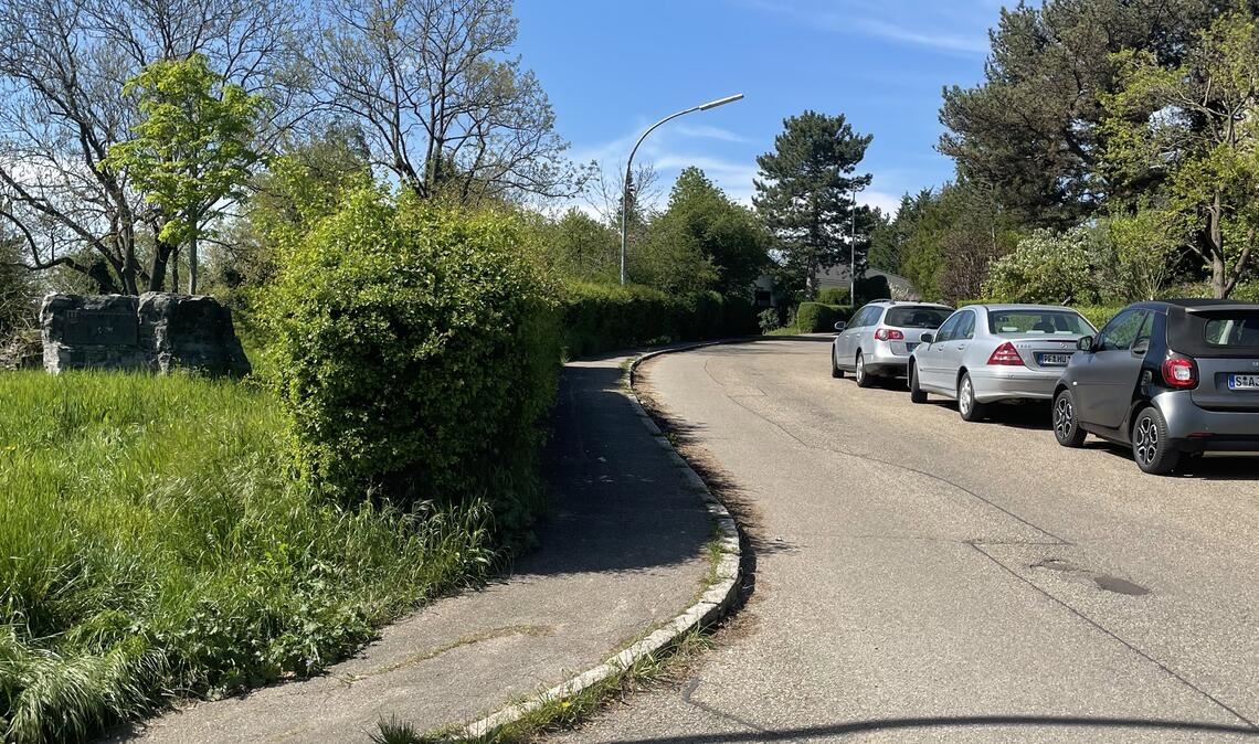 Schlechte Sicht in der Kurve. Foto: privat