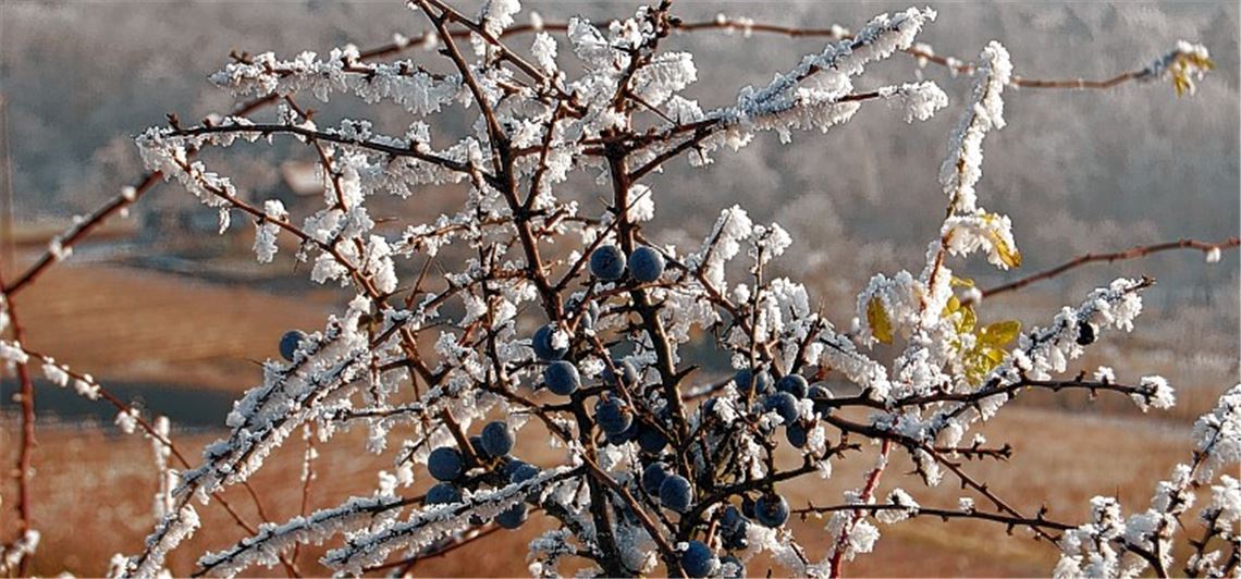 Winterbilder Winterbilder
