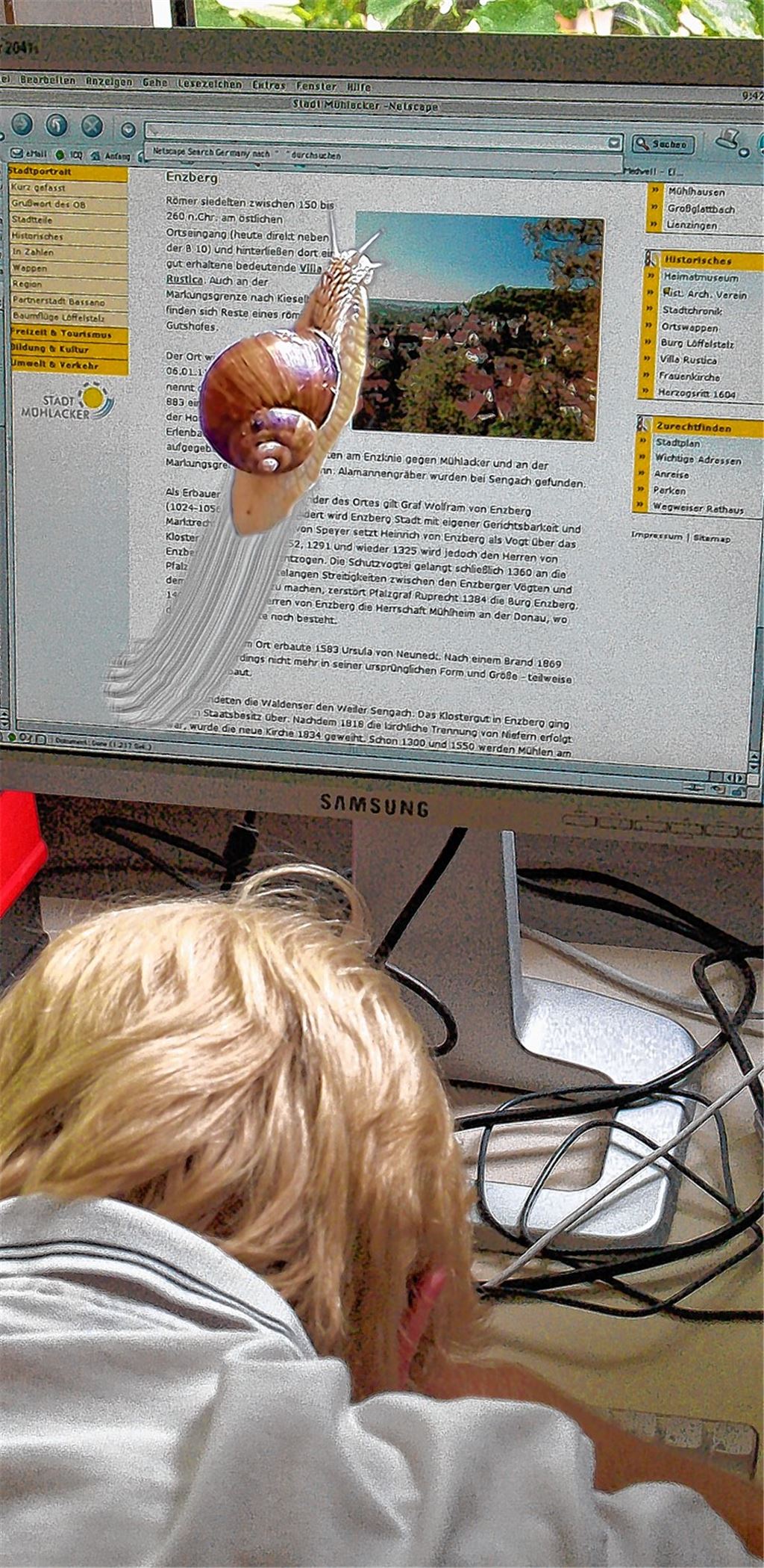 Schnarch! Noch vor nicht allzu langer Zeit gehörte auch Enzberg noch zu den Flecken im Enzkreis, in denen das Surfen im Netz nur im Schneckentempo möglich war. Während es im Mühlacker Stadtteil Fortschritte gab, warten die Menschen in einigen Ortschaften in der Region noch auf Verbesserungen. Ein interkommunaler Zweckverband soll die Probleme künftig flächendeckend lösen. 