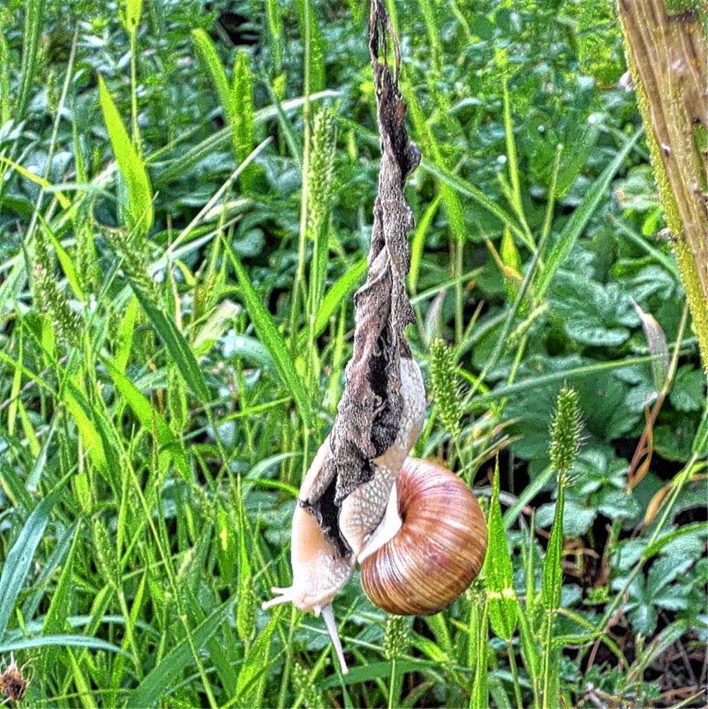Sommerzeit