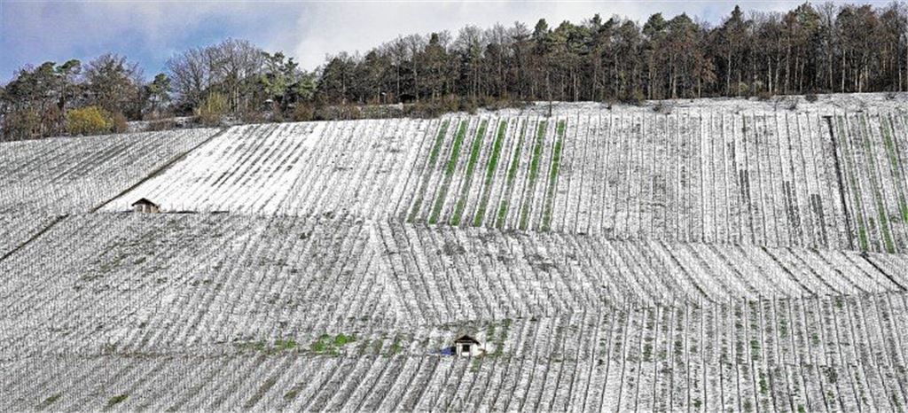 Schnee-Geometrie in Gündelbach.
