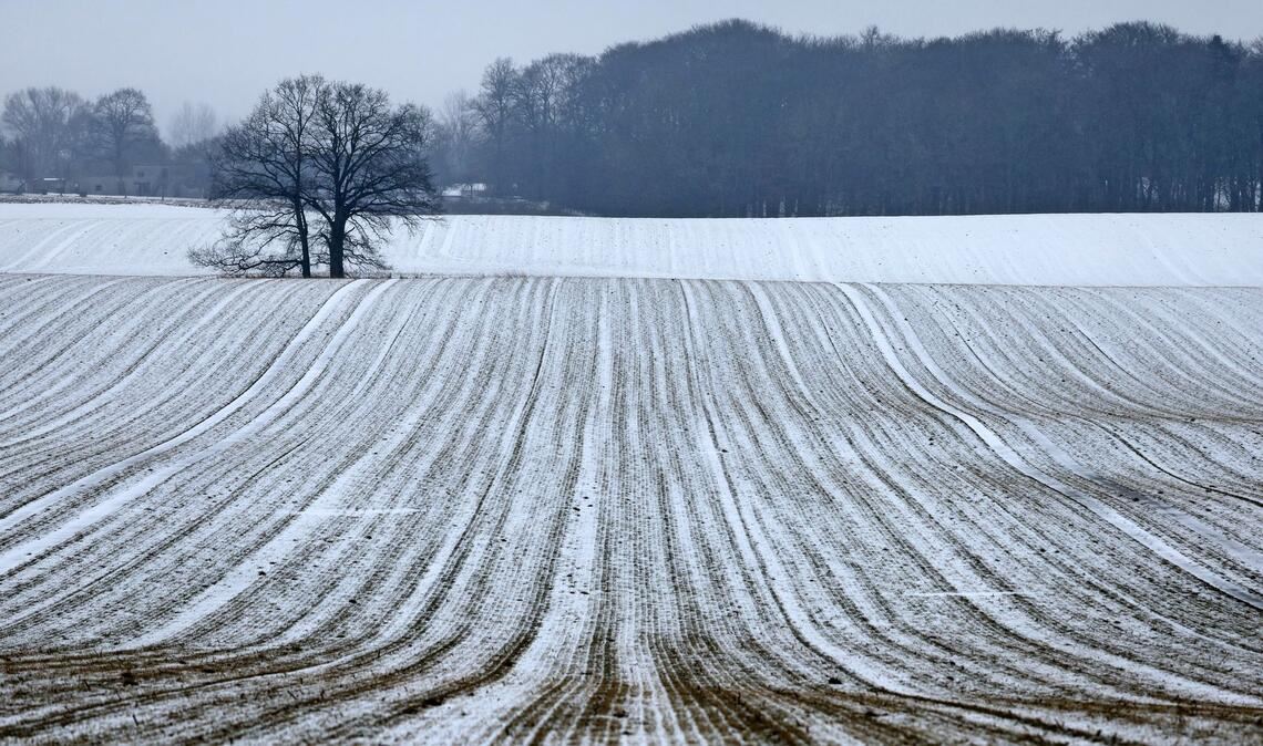 Schnee bis in die Niederungen ist am Samstag für die Mitte und den Süden vorhergesagt.