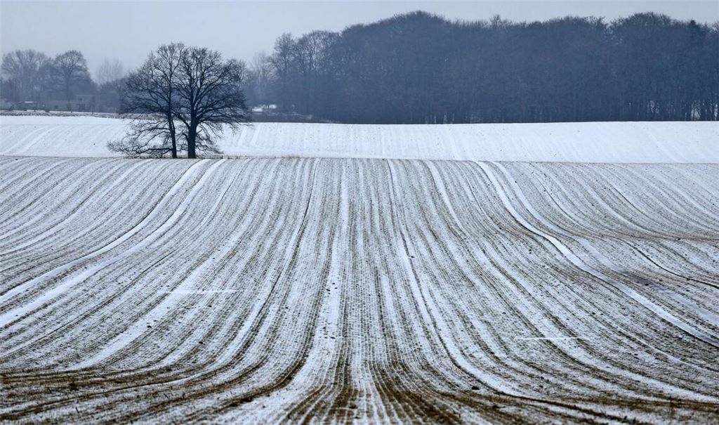 Schnee bis in die Niederungen ist am Samstag für die Mitte und den Süden vorhergesagt.