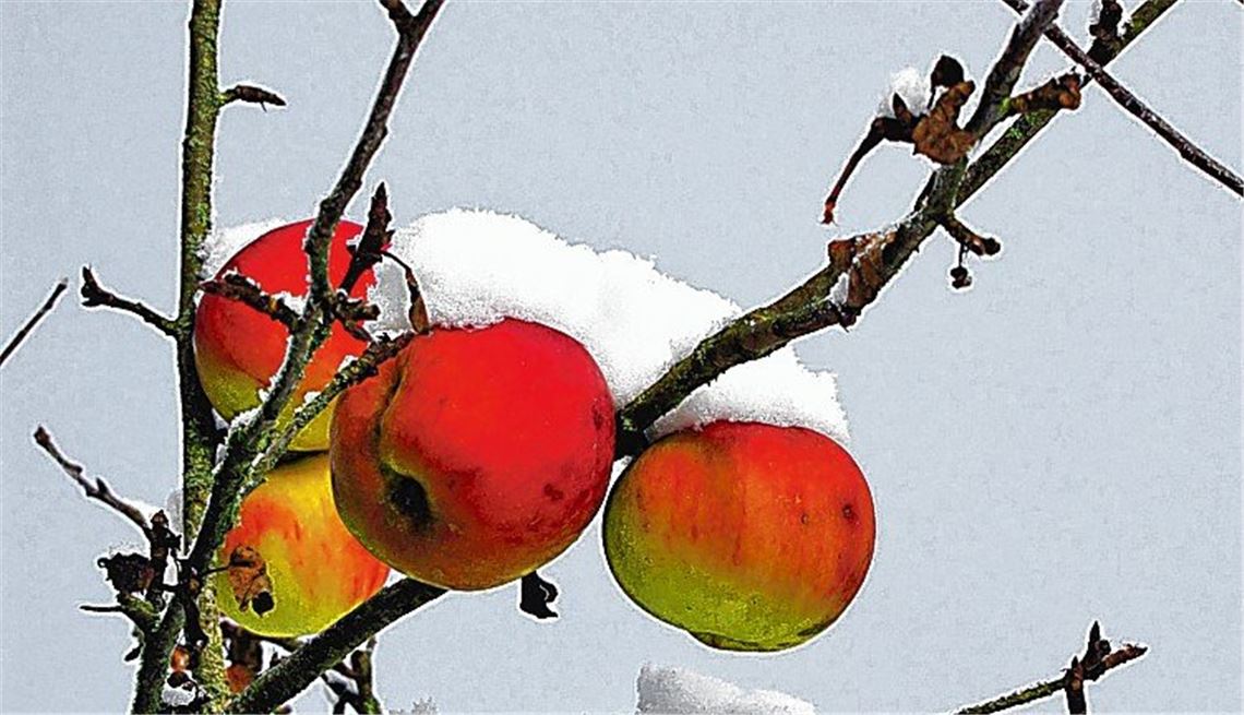 Winterzeit Winterzeit