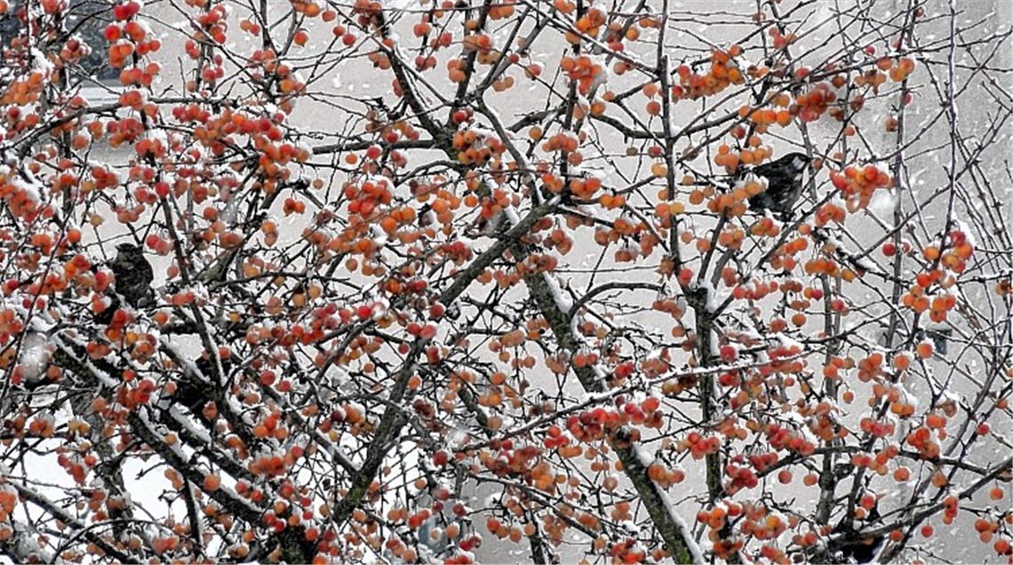 Winterbilder