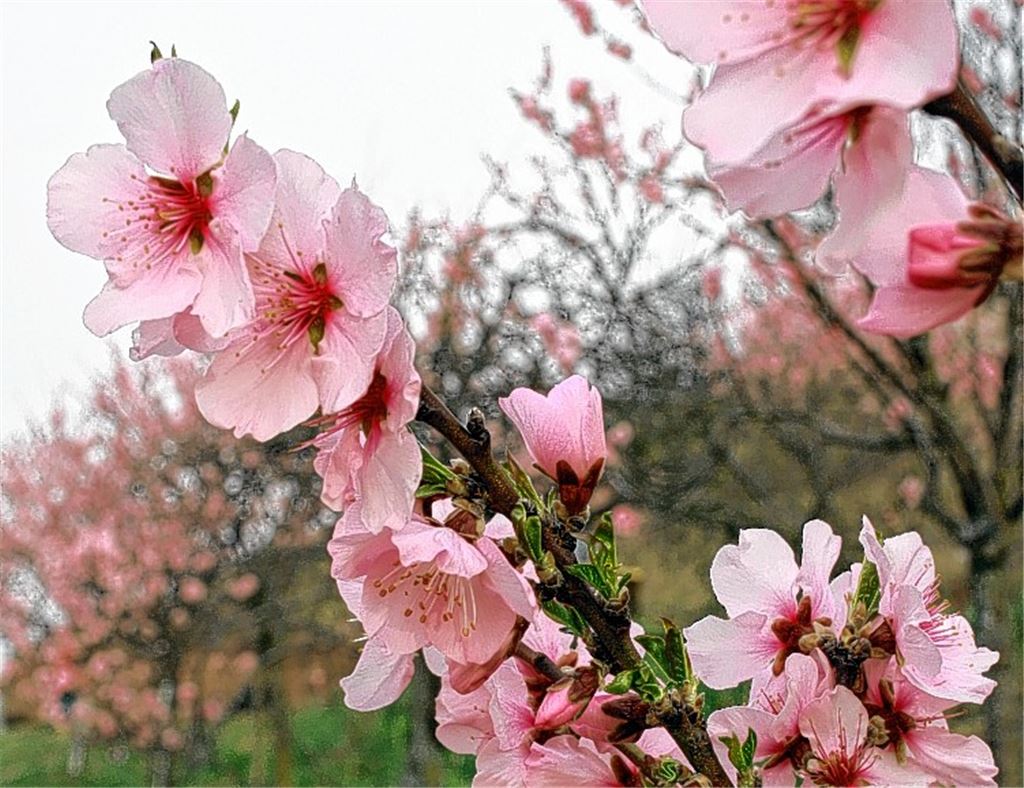 Schöne Ansichten am König.