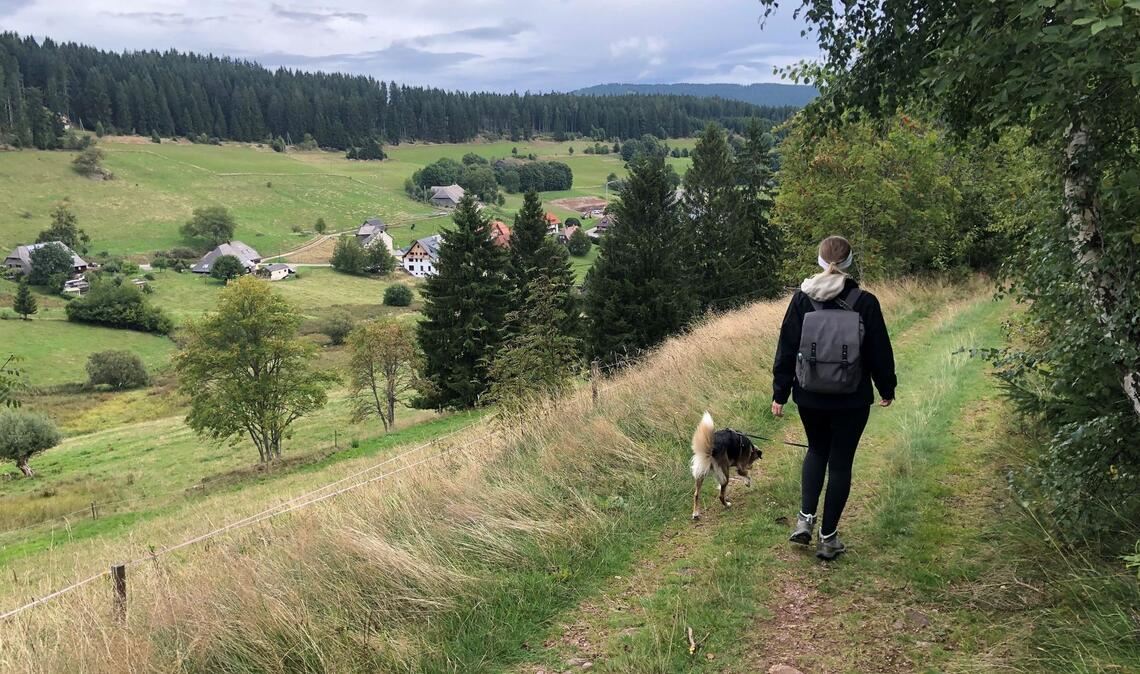 Schöne Aussichten bei der Wanderung auf dem Hochschwarzwälder Hirtenpfad.