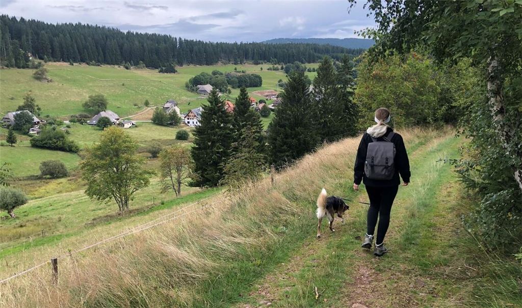 Schöne Aussichten bei der Wanderung auf dem Hochschwarzwälder Hirtenpfad.