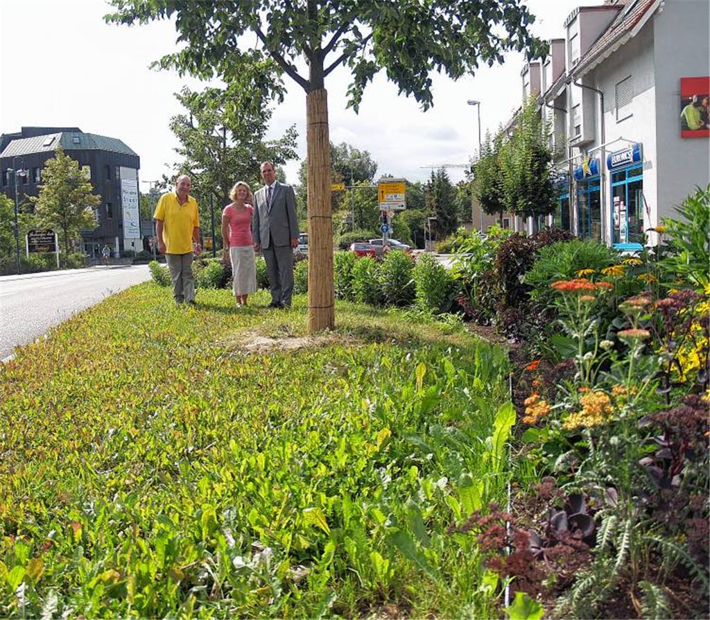 Schöne Aussichten – und das schon vor 2015: Oberbürgermeister Frank Schneider (re.) und Inga Gallob vom Tiefbauamt freuen sich über das Engagement des Verschönerungsvereins (li. Vorsitzender Albrecht Münzmay) für eine neue Blütenpracht an der Ortsdurchfahrt.