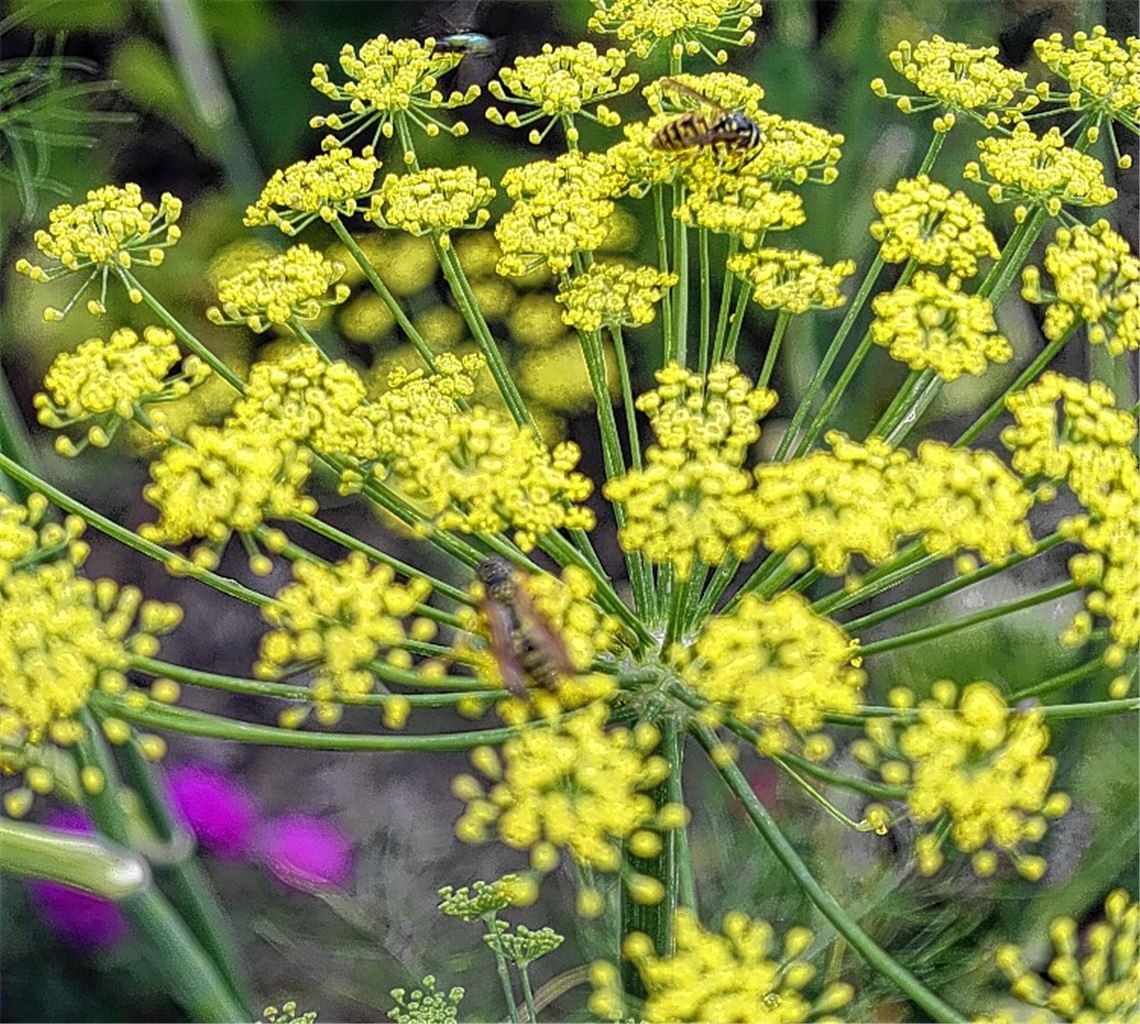 Sommerzeit
