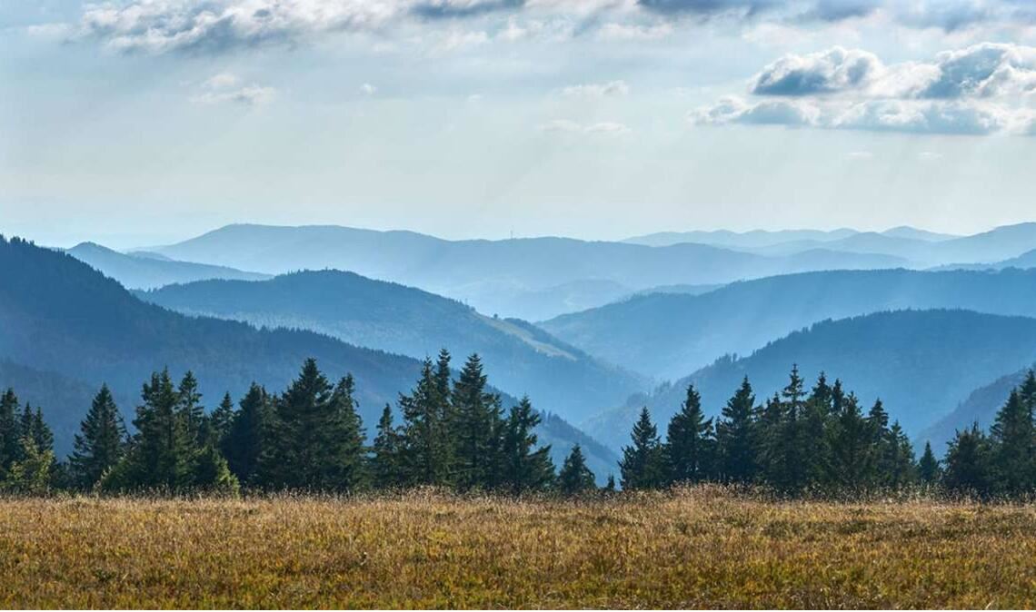 Schönheit im Zwielicht: der Schwarzwald