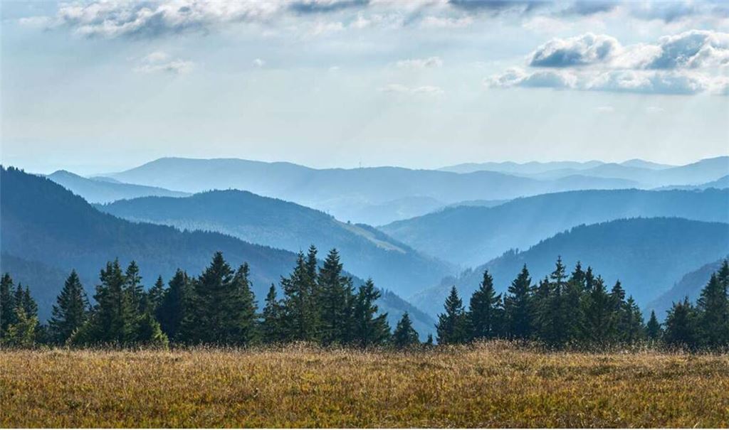 Schönheit im Zwielicht: der Schwarzwald
