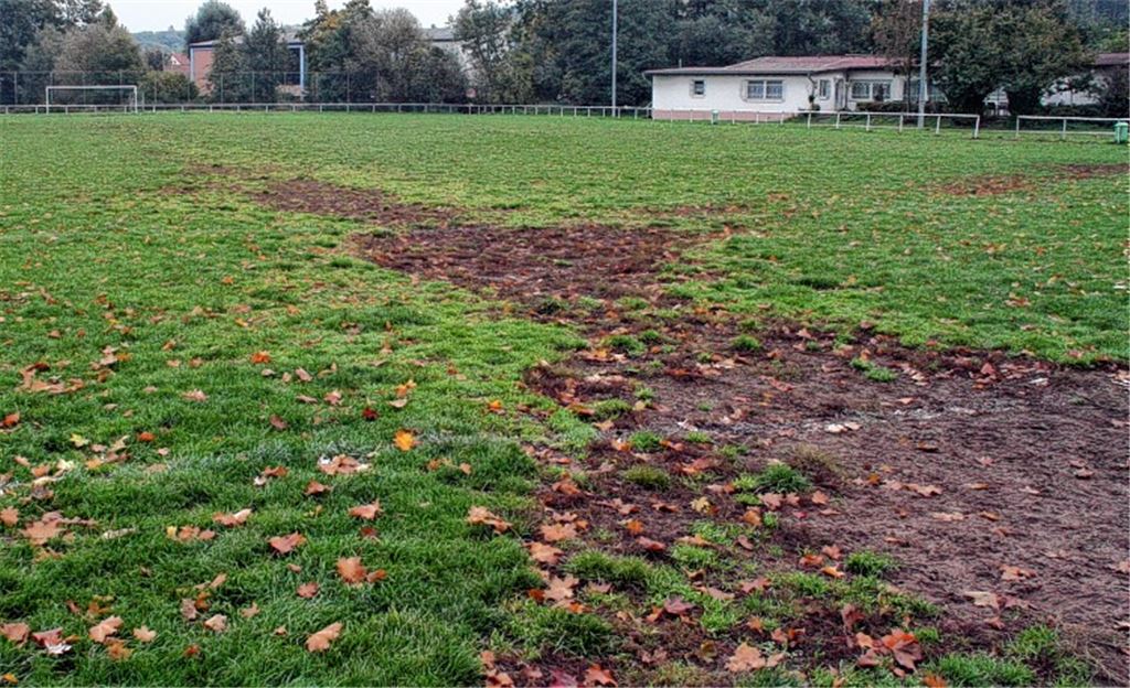 Schon Ende Oktober, kaum drei Monate nach Saisonbeginn, bot der Trainingsplatz von Phönix Lomersheim an vielen Stellen ein trauriges Bild. Wenige Tage zuvor hatte ein Schiedsrichter den Platz für absolut unbespielbar erklärt und ein Jugendspiel aus Sorge vor Verletzungen kurzerhand abgesagt. Archivfoto: Eigner