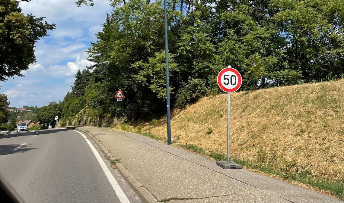 Schon wieder ist eine Lienzinger Ortstafel gestohlen worden. Provisorisch gibt ein Warnschild das Tempo vor. Foto: Antonia Bächle
