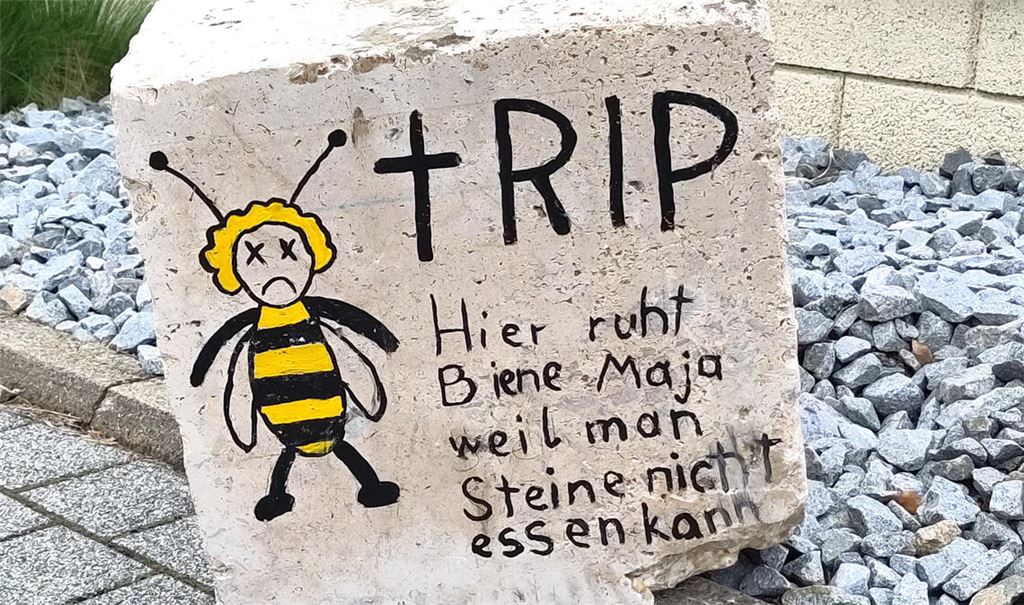 „Schottergärten“ werden sogar schon zum Thema von Maischerzen. Foto: Archiv
