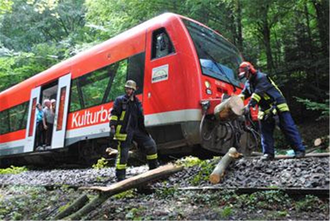 Schreck für die Fahrgäste: Ein Baum auf den Schienen stoppt die Kulturbahn. Foto: Myroshnichenko