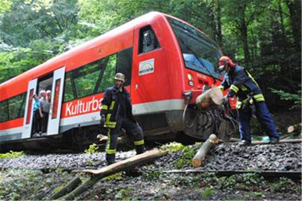 Schreck für die Fahrgäste: Ein Baum auf den Schienen stoppt die Kulturbahn. Foto: Myroshnichenko