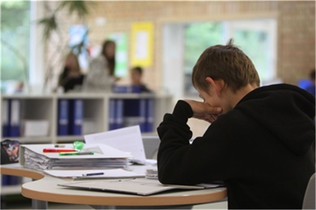 Schulleiterin Andrea Maisel sagt: „In den Sommerferien sollten die Schülerinnen und Schüler zuerst einmal die Schule vergessen, den Kopf frei bekommen und die Zeit zum Spielen, Freunde treffen, Sport und Freibad nutzen.“ Foto: Archiv