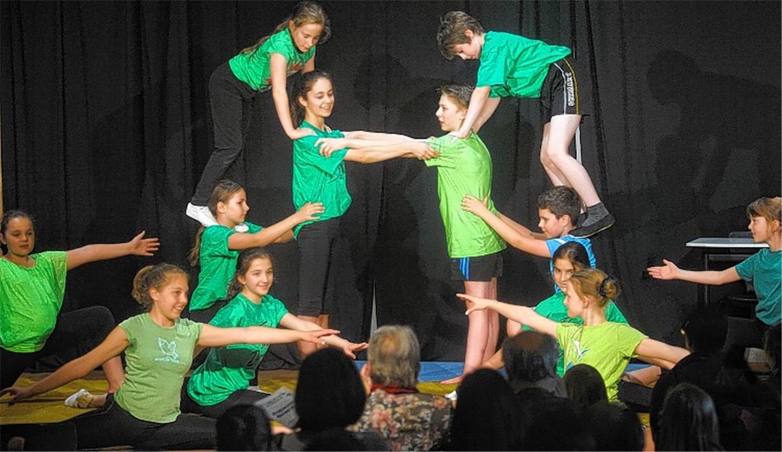 Schutz des Regenwaldes